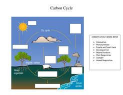 Carbon cycle and green house effect activities | Teaching ...