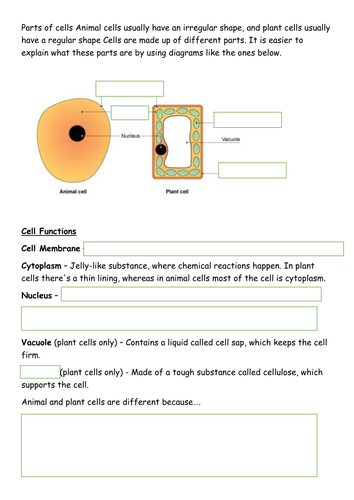 Animal and plant cells resources | Teaching Resources