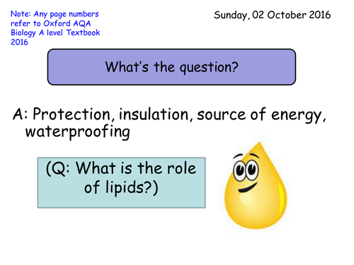 Section 1. Biological Molecules. 1.5 Lipids NEW Year 12 biology specification