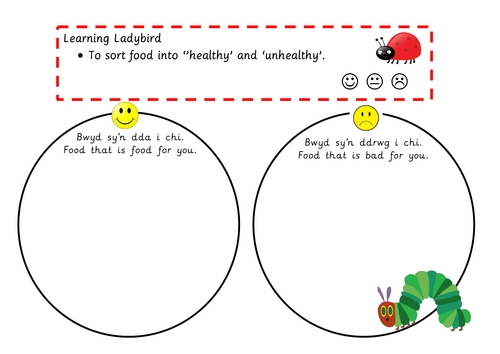 Sorting Food - Bwyd - Welsh