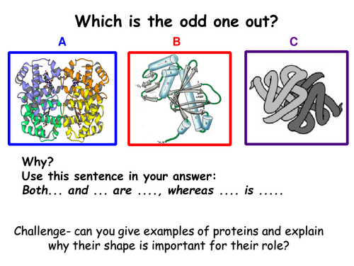 Section 1. Biological Molecules. 1.7 Enzyme Action NEW AQA Year 12 Biology A level specification