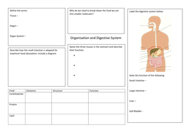 Organisation and Digestive System Revision Maps for New AQA GCSE Spec ...