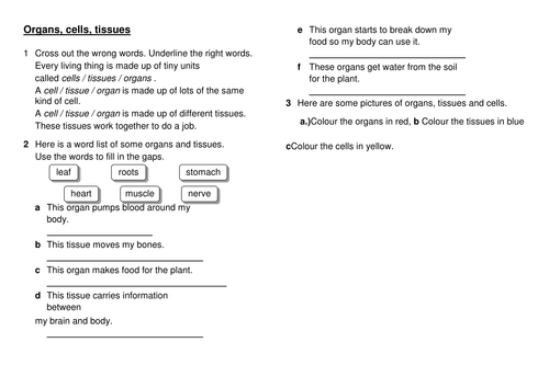 docx, 42.55 KB