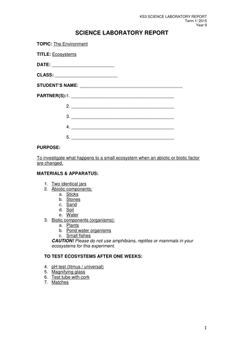 docx, 77.05 KB