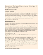 What is a diary picture