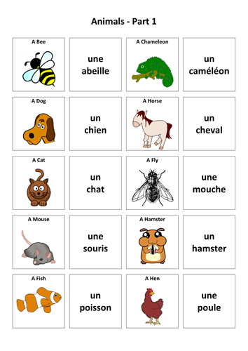 Animals: French Vocabulary Card Sort | Teaching Resources