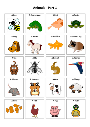 Animals: French Vocabulary Card Sort | Teaching Resources