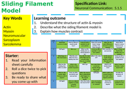 A Level Biology Sliding Filament Model Lesson | Teaching Resources
