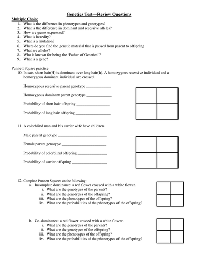 Genotype vs phenotype worksheet answers