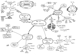 Mind Maps for all of Year 8 Science | Teaching Resources