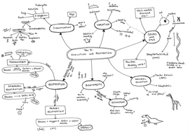 Mind Maps for all of Year 8 Science | Teaching Resources