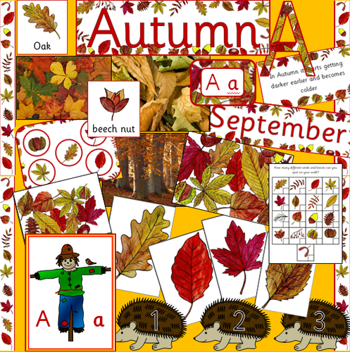 Autumn resource pack- display materials, games, activities, leaf hunting, Powerpoint
