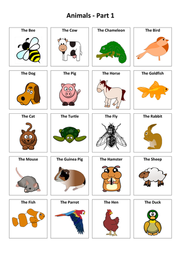 Animals: Spanish Vocabulary Card Sort | Teaching Resources