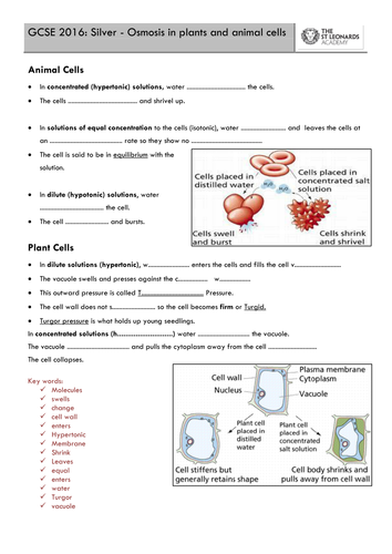 docx, 158.39 KB