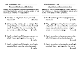 antagonistic pairs resources muscle aqa gcse contractions pe lesson pptx mb