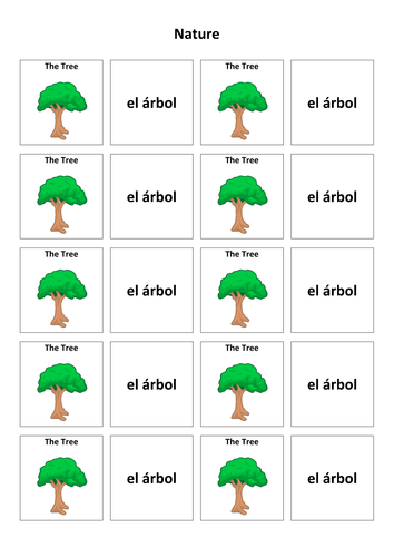 nature-spanish-vocabulary-card-sort-teaching-resources