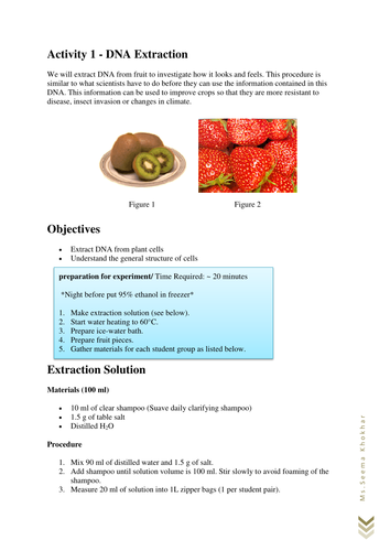 DNA EXtraction Lab | Teaching Resources