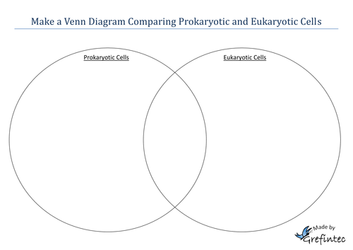 eukaryotic and prokaryotic cells venn diagram