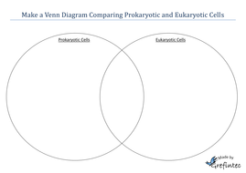 Prokaryote And Eukaryote Venn Diagram