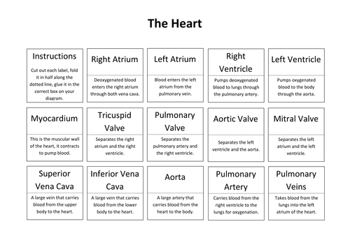 The Heart: Create a Labelled Diagram | Teaching Resources