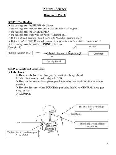 ppt, 151 KB