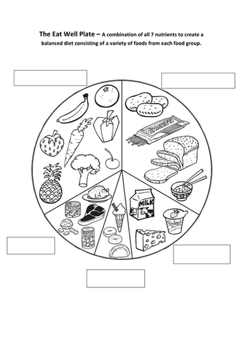 The food wheel worksheet