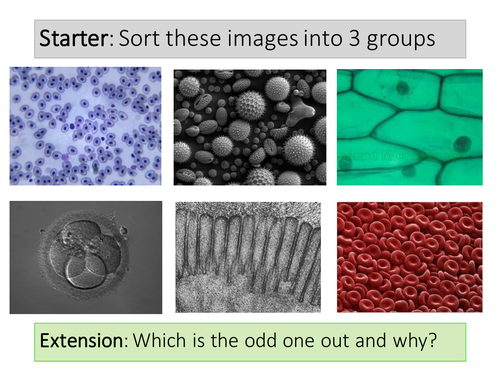 New AQA (2016) Biology B1 - Cell Structure and Transport, Lesson 2 ...