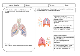 Breathing worksheet | Teaching Resources