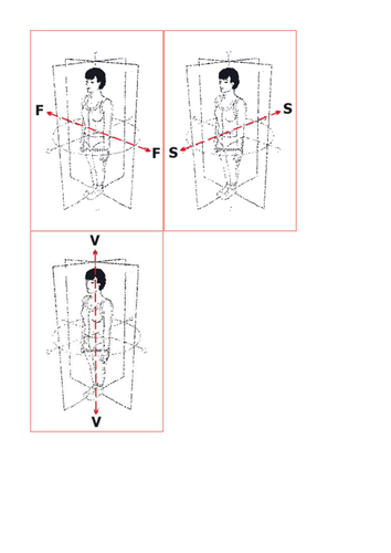 AQA GCSE PE 2016 Spec - Axes and Planes | Teaching Resources