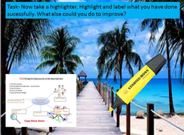 5 paragraph descriptive essay examples image