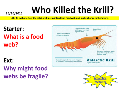 Antarctica - Who Killed the Krill?