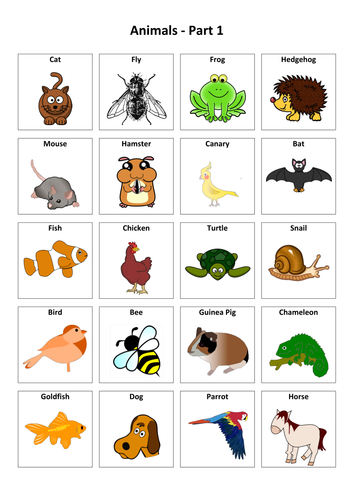 Animals: Russian Vocabulary Card Sort | Teaching Resources