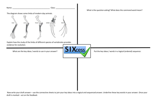 docx, 137.62 KB