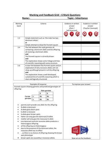 docx, 384.36 KB
