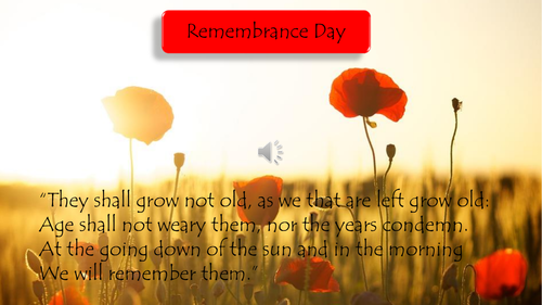 Remembrance day zoom background images