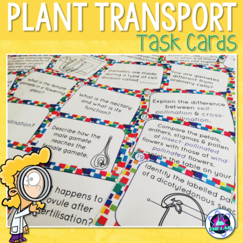 Transport in Plants Task Cards