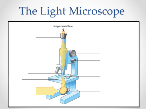 AQA AS & A-level Biology (2016 specification). Section 2 Topic 3: Cells. 2 Electron microscope