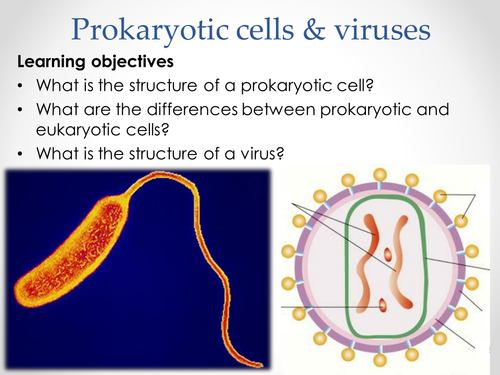 AQA AS & A-level Biology (2016 specification). Section 2 Topic 3: Cells. 6 Prokaryotic cells viruses