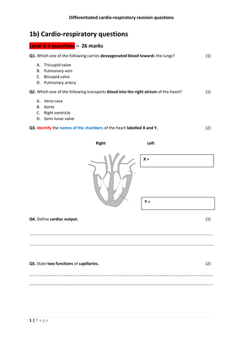 Aqa Gcse Pe Cardio Respiratory Q And A And Revision Bundle Teaching