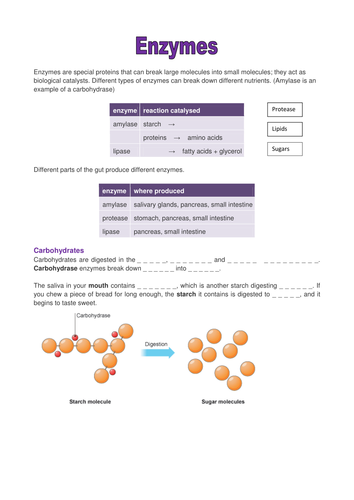 docx, 92.76 KB