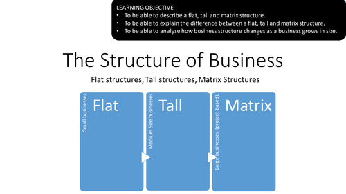 GCSE Business/GCSE Business Communication Systems - Business Structures