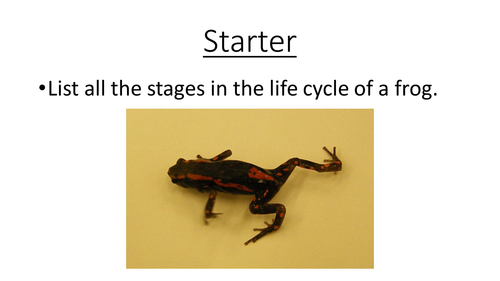 Life Cycle Assessment complete lesson for new AQA Chemistry GCSE 2016 onwards