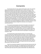 native american essay