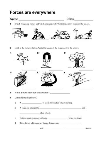 Force Grade 5 Quiz