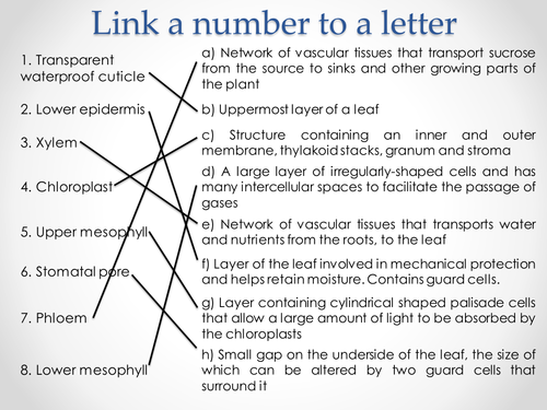 AQA A-level Biology (2016 specification). Section 5 Topic 11: Photosynthesis. 1. Introduction to