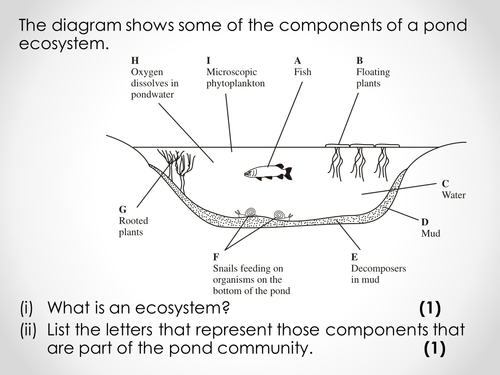AQA A-level Biology (2016 specification). Section 7 Topic 19: Populations 3 Competition
