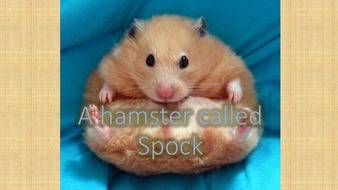 Describe hamster essay image