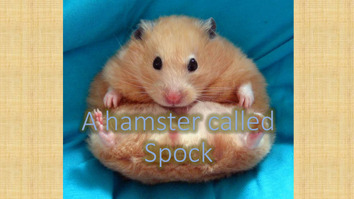 Comprehension and descriptive writing : A hamster called Spock