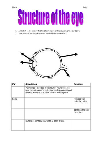 How do we see. GCSE Edexcel Psychology. Perception | Teaching Resources