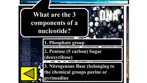 GCSE Nucleotides